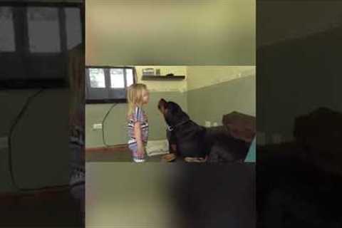 Adorable Pup & Girl Duet National Anthem for 4th of July!#Shorts