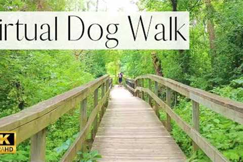 4K VIRTUAL DOG WALK- Pond, Bridges, Marsh & Forest | TV for Dogs (Nature Sounds)