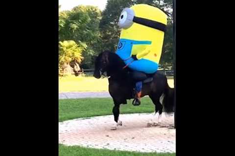 Minion Gallantly Rides Horse! #Shorts