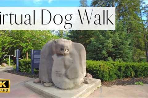 TV For Dogs: Virtual Dog Walk through a SCULPTURE Garden | 4K Dog TV