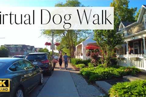 4K VIRTUAL Dog Walk- Beautiful Main Street in Lavish Neighborhood | TV for Dogs