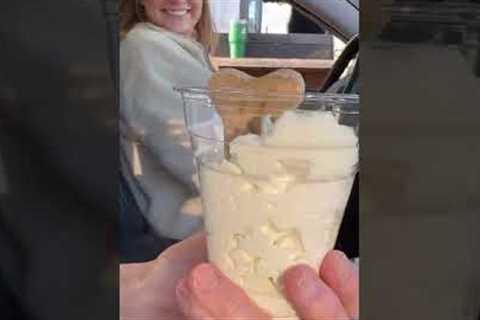 Dog in Backseat of Car Enjoys Doggy Ice-Cream in Cup With Bone