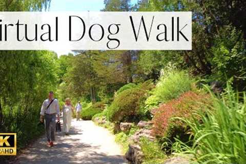 4K VIRTUAL Dog Walk- Stunning GARDENS at Toronto Botanical Gardens🌷🌼| TV for Dogs