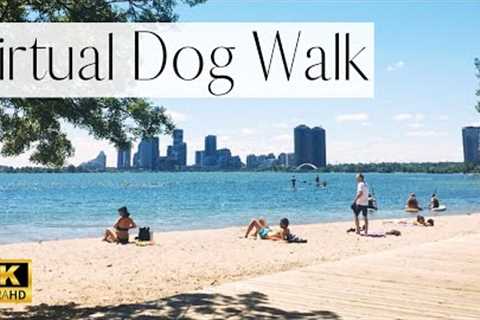 4K VIRTUAL Dog Walk- Soothing Beach Walk - Sounds of Waves and People | TV for Dogs