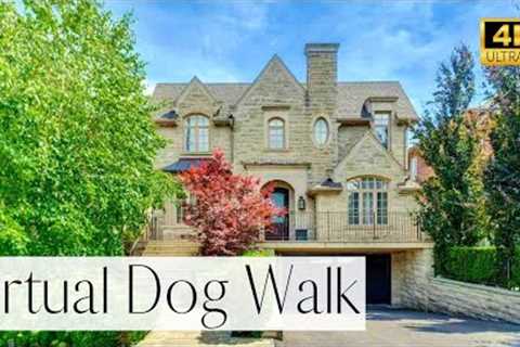 4K VIRTUAL Dog Walk- Walk through a Wealthy Neighborhood- Beautiful Sights | TV for Dogs