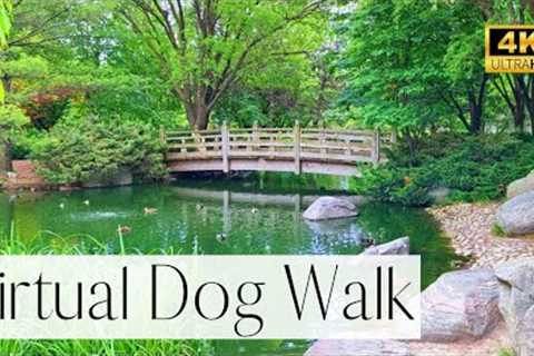 4K VIRTUAL Dog Walk- Walk Through A Beautiful Japanese Inspired Park | TV for Dogs (Peaceful)