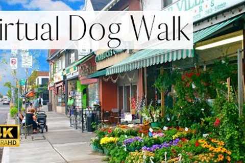 4K VIRTUAL Dog Walk- Busy City Street Walk Tour | TV for Dogs | People Watch With Us