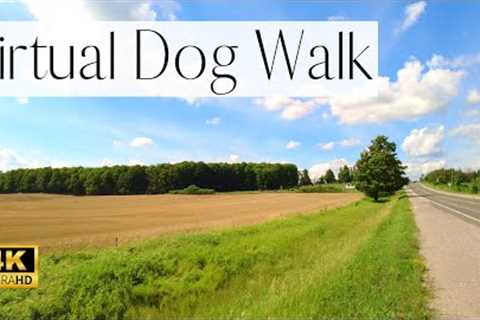 4K VIRTUAL Dog Walk- Calming Country Walk | Cornfields, Nature Sounds, Birds Chirping