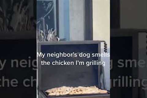 Funny Pup Sneaks Sniffs of #BBQ! #Dogs #shorts