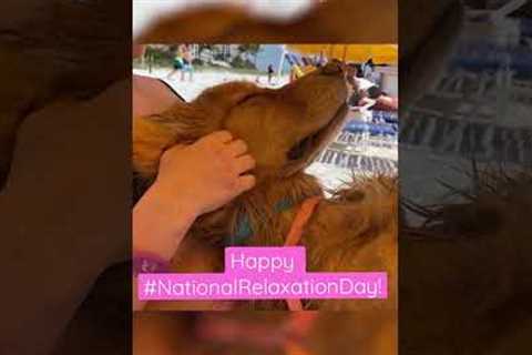 Adorable Pup Enjoys Massage During #NationalRelaxationDay! #Dogs #Shorts