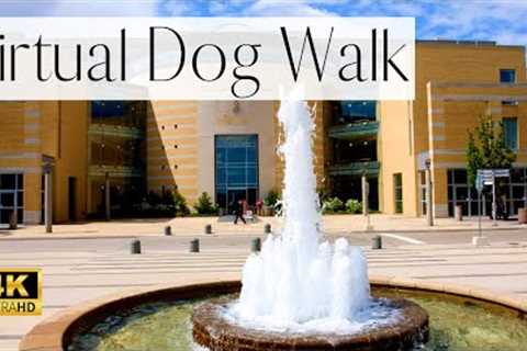 4K VIRTUAL Dog Walk- Canada's Largest University | People Walking and Beautiful Buildings