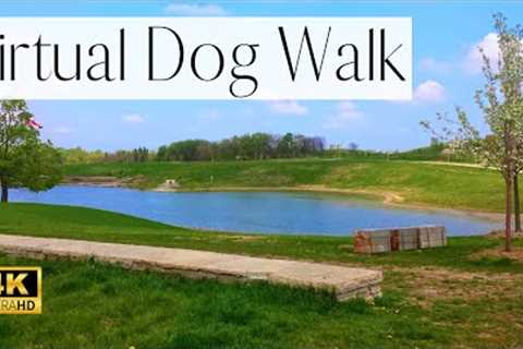 4K VIRTUAL Dog Walk- Explore A Peaceful Park | Calming Pond, Bridge, and Boardwalk