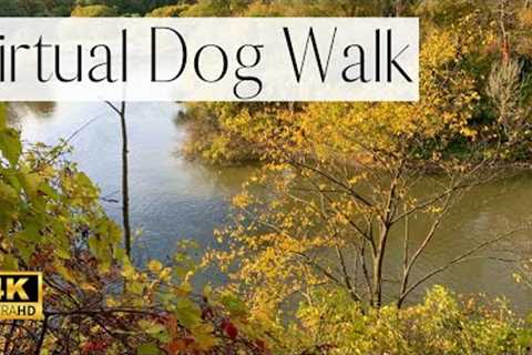 4K VIRTUAL Dog Walk- Charming Park, River and Waterfall | Walk With Us