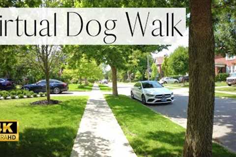 4K VIRTUAL Dog Walk- Walk Your Dog In An Old Toronto Neighborhood | Beautiful Homes and Landscapes