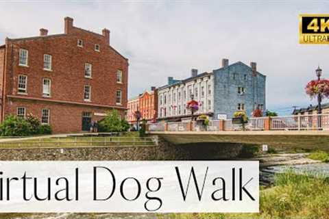 4K VIRTUAL Dog Walk- Explore The Beauty of An Old Main Street | Walk Your Dog With Us