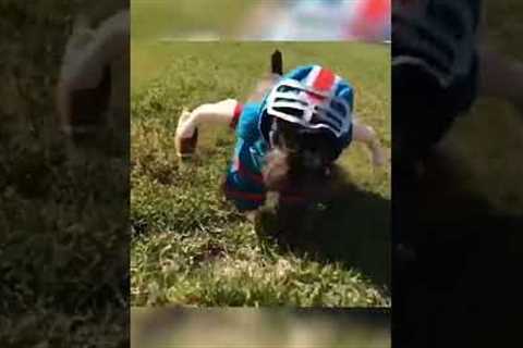 Hilarious Puppy is Ready fro #NFL Sunday! #Shorts #Football