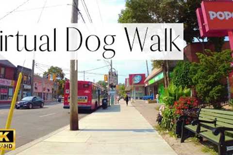 4K VIRTUAL Dog Walk- Busy Toronto Street- Weston Road | Walk Your Dog With Us