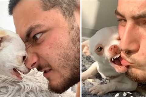 Craziest Dogs Reactions 🤣💞 (Funny Pet Videos)| Pets House