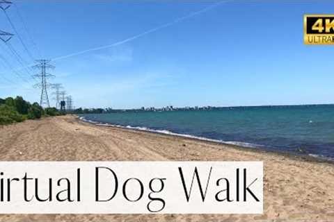 4K TV For Dogs-  Burlington Beach Walk- Calming Wave Sounds | Walk Your Dog With Us