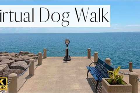 4K TV For Dogs-  Stunning Waterfront Trail in Burlington| Walk Your Dog With Us