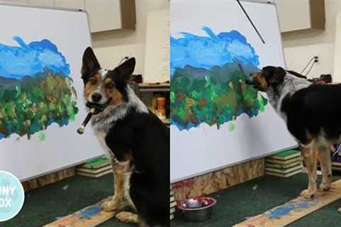 Amazing Dog Painter