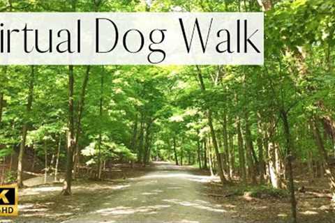 4K Dog Walk-  Prestigious Forest Hill Green Trail | Walk Your Dog With Us