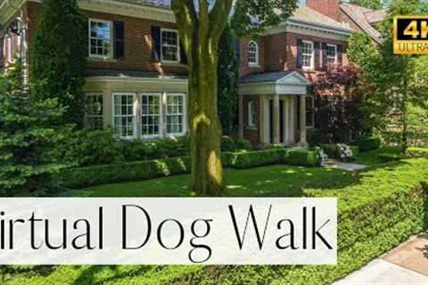 4K Dog Walk- The Richest Neighborhood In Toronto-Forest Hill! | Walk Your Dog With Us