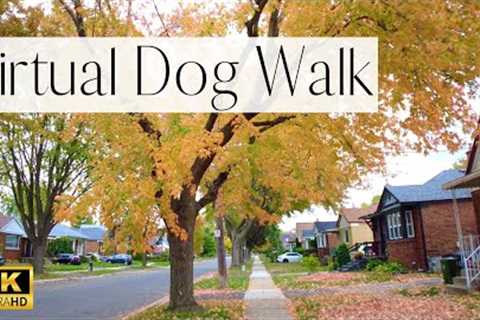 4K Dog Walk- Stunning FALL Colors in a Pretty Toronto Neighborhood 🍂| Walk Your Dog With Us