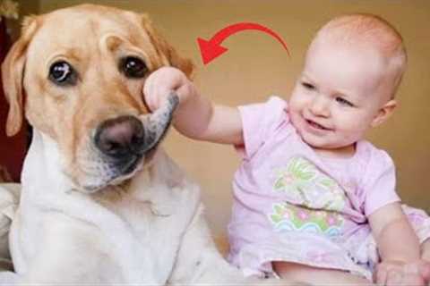 So sweet! The Dog's Reactions When Taking Care Of The Baby Is Super Funny| Pets House