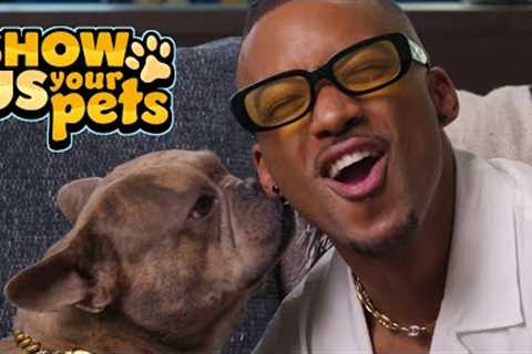 Algee Smith's Adorable French Bulldog