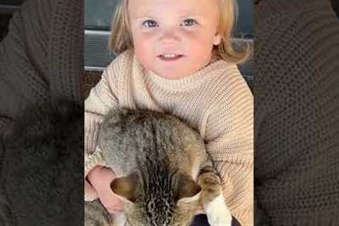 Adorable Kid Can't Stop Hugging Stray Cat! #Cats #Shorts