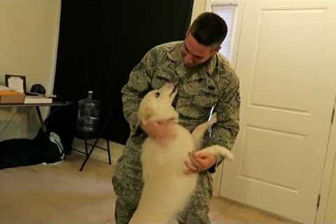 Vets and Pets Reunion