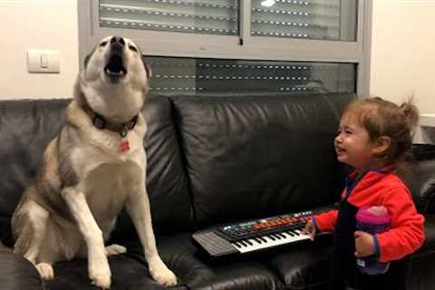 Can This Dog Sing? |  Funniest Pets Of The Month (November 2022)