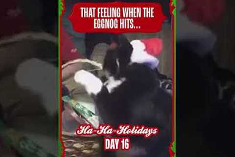 Cat Hilariously Struggles to Get Santa Hat Off His Head #Shorts #Cats