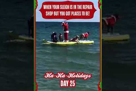 Santa Paddle Boards with Puppies! #Dogs #Christmas #Shorts