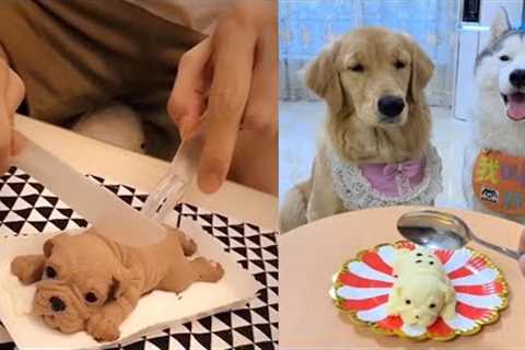 Dog Reaction to Cutting Cake 2023 - Funny Dog Cake Reaction Compilation