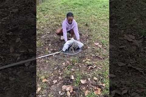 Girl Rescues Owl Stuck Inside Water Bin #Shorts #Owl #Rescue