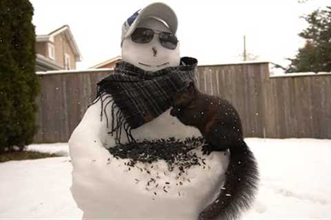 Cartoons for Pets - Snowman and Squirrels Hanging Out in the Snow - Jan 07, 2023