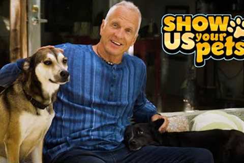 Patrick Fabian's Desert Rescue Dogs | Show Us Your Pets