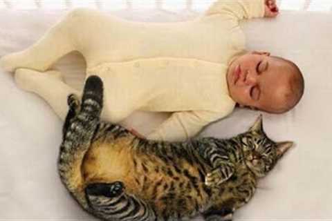 Cats and babies are best friends – Cute baby & cat compilation 🐱❤️ Part 2