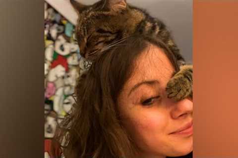 This Cat Makes A Great Hat 😺🧢 🤣 | Funniest Pets Of The Month (February 2023)