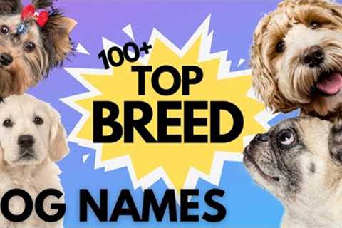 Top 100 Dog Names By BREED – Ranked By Popularity✨ | Dog Name Videos