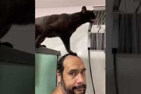 Funny Cat Interrupts Man's Shower! 😹🧼