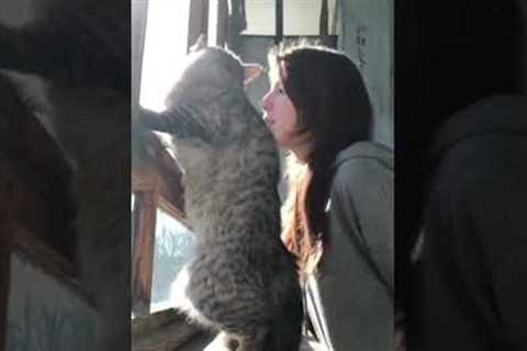 Adorable Cat Refuses to Go Outside!