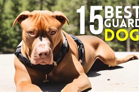 Top 15 Best Guard Dog Breeds to Protect Your House and Family