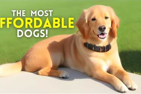 The 13 Most Affordable Dog Breeds Perfect for Every Budget