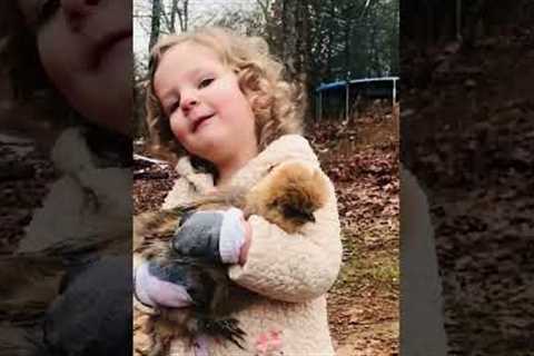 Hilarious Little Girl Shows Off Her Chicken!