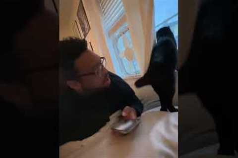 Funny Cat Repeatedly Smacks Parent's Face with Tail!