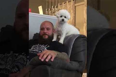 Dog Lovingly Licks Pet Parent's Head and Gives Him Kisses