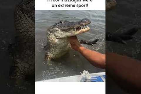 Wild Man Gets Foot Massage From Alligator!